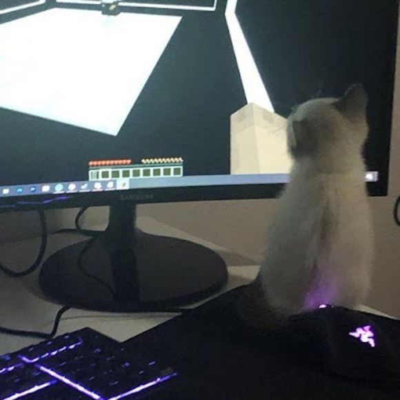 Meet your Posher, 2chishi - Picture 1 of 1